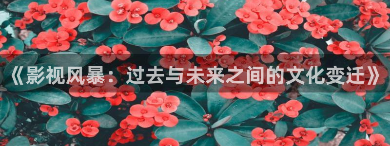 第七影院神马影院