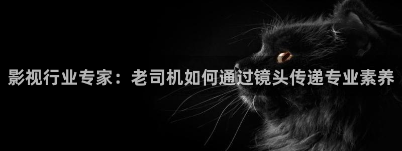 男人天堂第七影院：影视行业专家：老司机如何通过镜头传递专业素养