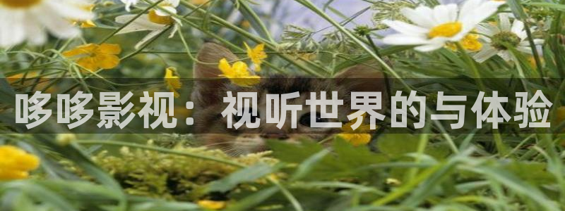 四虎影视第七色：哆哆影视：视听世界的与体验