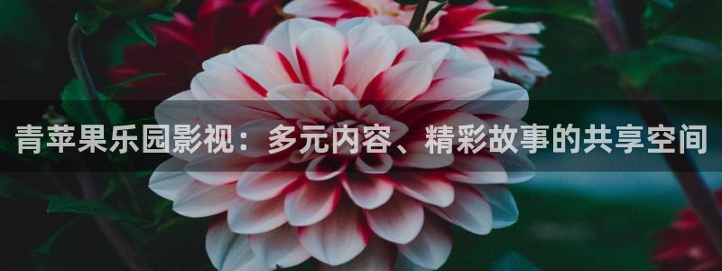 神马影院第七影院午夜秋霞：青苹果乐园影视：多元内容、精彩故事的共享空间