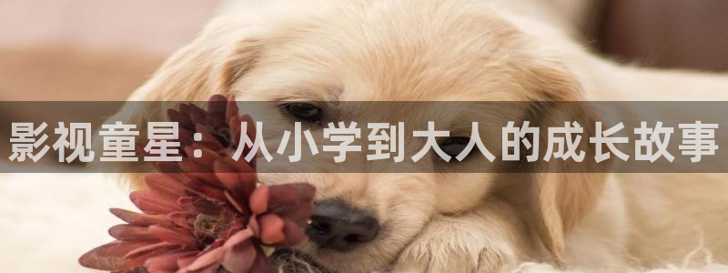 王牌对王牌第七季星辰影院
