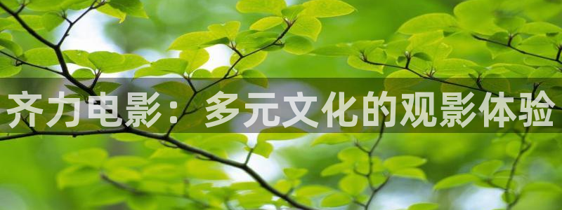 第七影院在线：齐力电影：多元文化的观影体验