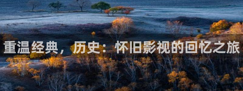 中餐厅第七季星辰影院：重温经典，历史：怀旧影视的回忆之旅