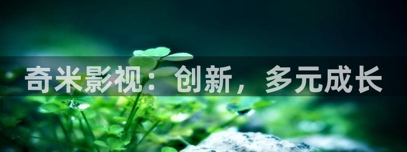 花花影院第七：奇米影视：创新，多元成长