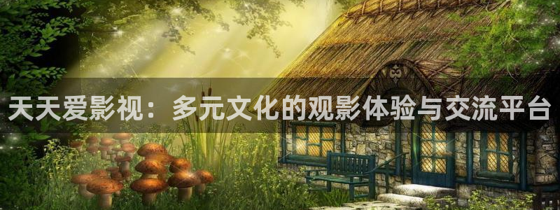 第七 影院：天天爱影视：多元文化的观影体验与交流平台