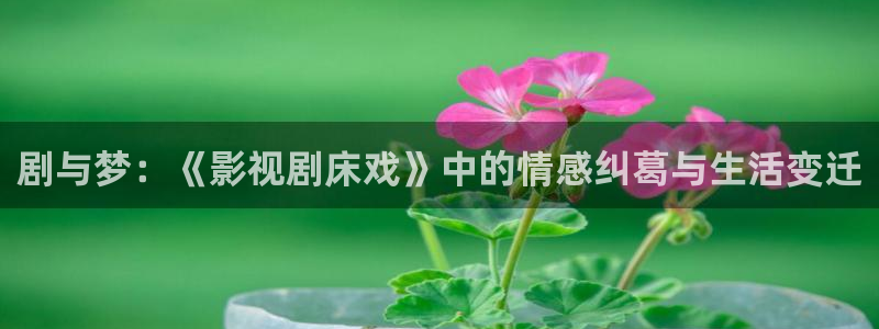 第七影院秋霞电影：剧与梦：《影视剧床戏》中的情感纠葛与生活变迁